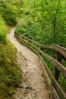 wandelen in de oostenrijks Alpen foto