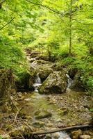 wandelen in Oostenrijk foto