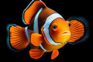 schattig clown vis in natuur breed leven dieren. ai gegenereerd. foto