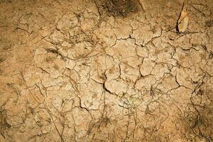 barst bodem droog seizoen Aan zand achtergrond. foto