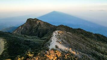 de mooi landschap visie van lawu berg Bij zonsopkomst gelegen in magetan. een van de meest mooi bergen in Java met een hoogte van 3265m bovenstaand zee niveau. magetan, Indonesië augustus 1, 2023 foto