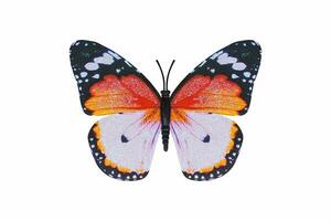 vlinder oranje kleur geïsoleerd wit achtergrond. foto