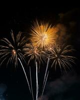 mooi vuurwerk Aan de lucht Bij nacht. foto