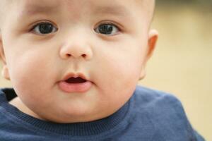 dichtbij omhoog schot van schattig Aziatisch Pakistaans 4 maanden oud baby jongen, wie is genieten van Bij huis tuin Bij luton stad van Engeland uk. beeld was gevangen genomen Aan juli 23e, 2023 foto