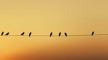 ideaal achtergrond voor minimalistische vogel silhouet fotografie foto