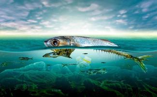 plasticvervuiling in mariene milieuproblemen dieren in de zee kunnen niet leven. en plasticvervuiling veroorzaken in het oceaanmilieuconcept foto