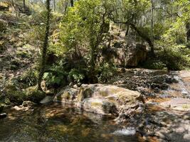 klein waterval en een groen lagune verborgen in de eik bossen van Portugal. foto