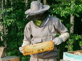 imker Verwijderen honingraat van bijenkorf. persoon in imker pak nemen honing van bijenkorf. boer vervelend bij pak werken met honingraat in bijenstal. bijenteelt in platteland. biologisch landbouw foto