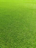 groen gras veld- patroon foto
