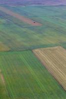 castelluccio di norcia en zijn bloeiende natuur foto