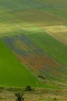 castelluccio di norcia en zijn bloeiende natuur foto