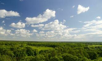 helder zomer lucht met wit wolken over- groen Woud foto