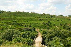 lente veld landschap foto