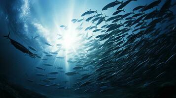 barracuda silhouet met licht stralen in de Indisch oceaan andaman zee Thailand foto