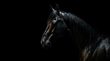 budenny paard s schaduw Aan zwart achtergrond. silhouet concept foto