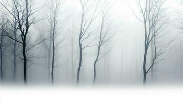 winter mist creëert een aftekenen Woud met bomen foto