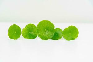 een glas beker met water en centella asiatica versierd met erlenmeyer fles en ronde podium foto