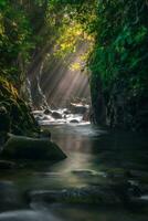 mooi ochtend- visie Indonesië panorama landschap rijstveld velden met schoonheid kleur en lucht natuurlijk licht foto