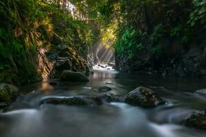 mooi ochtend- visie Indonesië panorama landschap rijstveld velden met schoonheid kleur en lucht natuurlijk licht foto