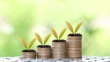 planten is groeit omhoog Aan stack van munten voor bedrijf investering of besparing concept foto