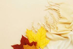herfst bladeren met een sjaal Aan een beige achtergrond met kopiëren ruimte foto