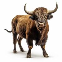 mooi wild beest stier op zoek vooruit is getoond in vol lengte, ai gegenereerd foto