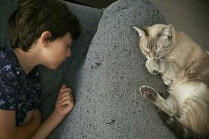 schattig jongen slapen Aan zijn bankstel met een kat foto