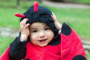 weinig baby meisje vervelend een lieveheersbeestje kostuum. halloween concept foto