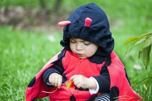 weinig baby meisje vervelend een lieveheersbeestje kostuum. halloween concept foto