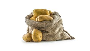 nieuw aardappelen in jute zak geïsoleerd Aan wit. foto