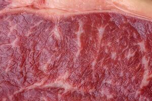 vers rauw rundvlees striploin steak met zout, specerijen en kruiden foto