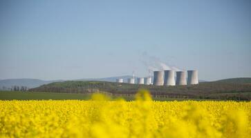 nucleair of thermisch macht fabriek schoorstenen met een veld- van geel koolzaad in voorkant van hen foto