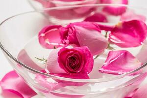 roze rozen en bloemblaadjes in kom met zuiver water. spa en welzijn concept foto