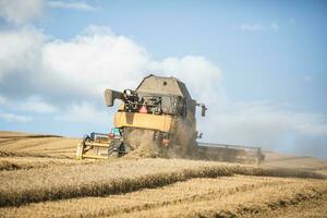 combineren oogstmachine in werk Aan tarwe veld- foto