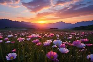 visie landschap van bloem foto