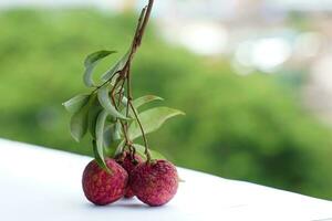 lychee is een fruit met een dun, ruw huid dat is roodachtig roze of helder rood. zaad jas melkachtig wit dat is vol van water. de vlees geeft een een beetje zoet en verzuren smaak. foto