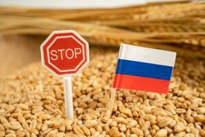 granen tarwe met Rusland vlag met hou op teken, handel exporteren en economie concept. foto