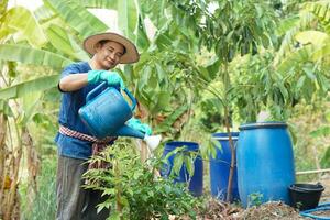 gelukkig knap Aziatisch Mens boer is werken in tuin, houden gieter kan naar water planten. concept, landbouw bezigheid. boer nemen zorg van planten. toereikendheid economie foto