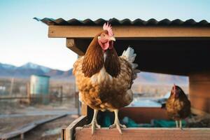 twee kippen staand in een coop met bergen in de achtergrond ai gegenereerd foto