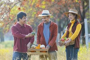 gelukkig Aziatisch boer familie draag- produceren oogst met van eigen bodem organische stoffen appel, squash en pompoen met vallen kleur van esdoorn- boom gedurende de herfst seizoen foto