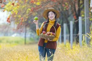 gelukkig Aziatisch boer meisje draag- mand van produceren oogst met van eigen bodem organische stoffen appel met vallen kleur van esdoorn- boom gedurende herfst seizoen foto