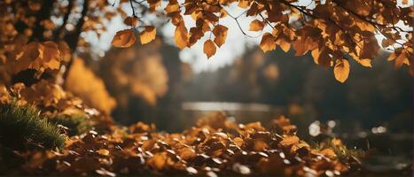 herfst Woud weg bladeren vallen in grond landschap Aan herfst- achtergrond. kleurrijk gebladerte in de park. vallend bladeren. herfst bomen in de mist digitaal 3d illustratie. ai-gegenereerd foto