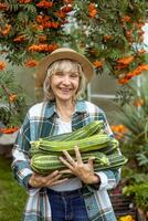 boer Holding een groot Bijsnijden van courgette foto