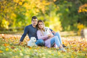 een liefhebbend paar in een herfst park leugens Aan de bladeren foto