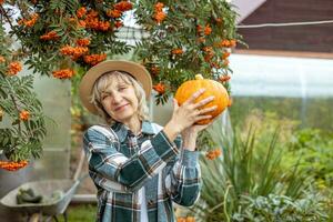 vrouw boer oogsten herfst pompoenen Bij de boerderij. landbouw. dankzegging en halloween foto