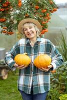 grappig vrouw tuinman Bij haar boerderij Holding twee pompoenen foto