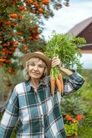 boer vrouw met wortel oogst in haar handen foto