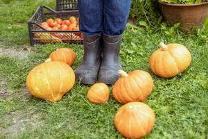 detailopname van een boer poten in rubber laarzen tussen de herfst oogst van groenten foto