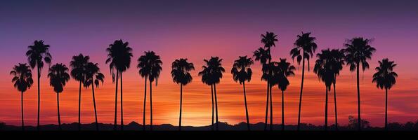 silhouet van palm bomen Bij zonsondergang - ai generatief foto