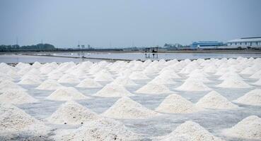 landschap zee zout boerderij in Thailand. pekel zout. rauw materiaal van zout industrieel. natrium chloride. verdamping en kristallisatie van zee water. zout oogsten. landbouw industrie. traditioneel boerderij foto